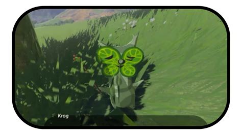 The Legend of Zelda: Breath of the Wild – Krog